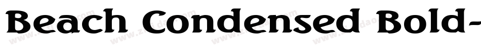 Beach Condensed Bold字体转换